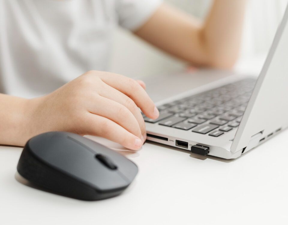 mouse-pentru-laptop