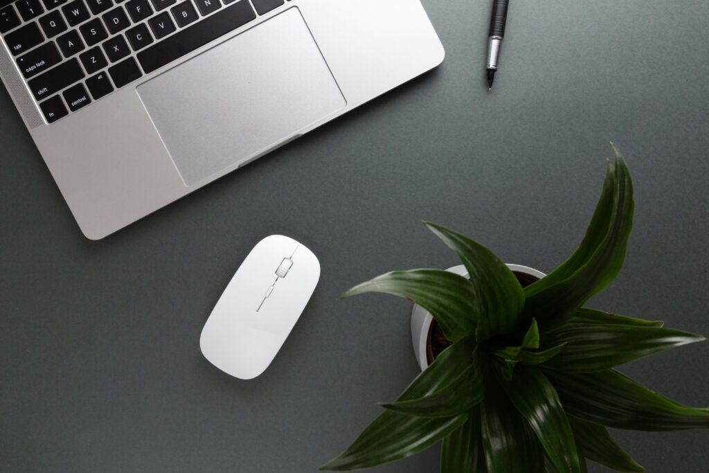 mouse-pentru-laptop-ce-este