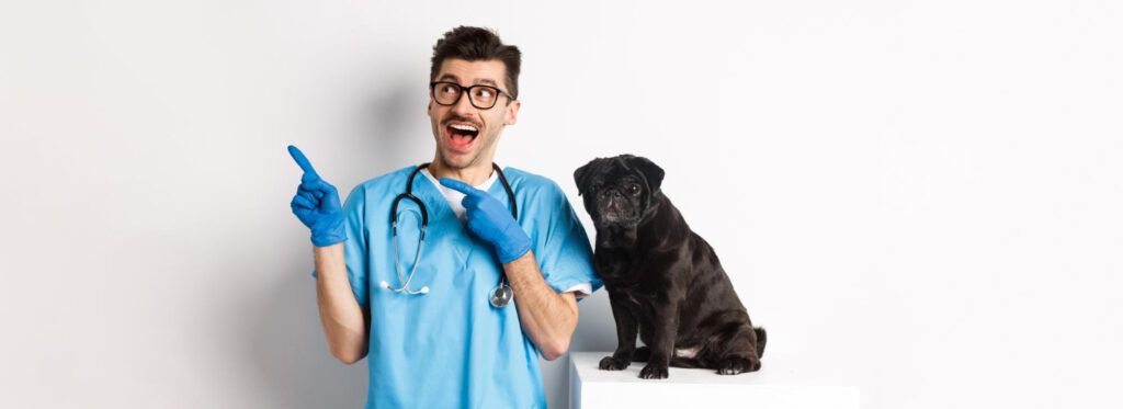 cabinet-veterinar-non-stop-sector-4-1