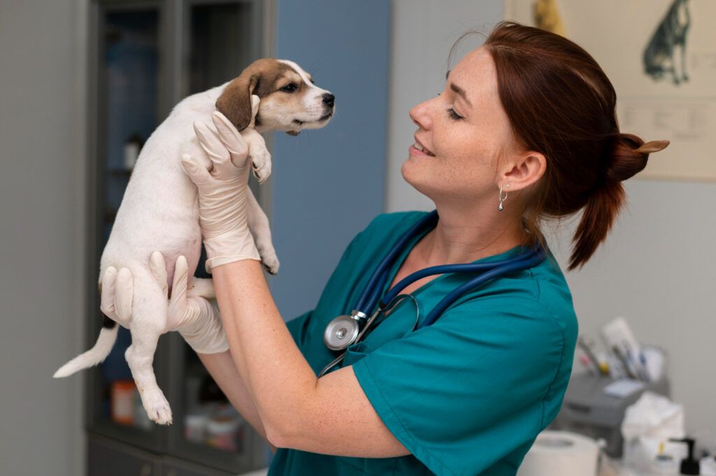 cabinet-veterinar-non-stop-sector-4-3