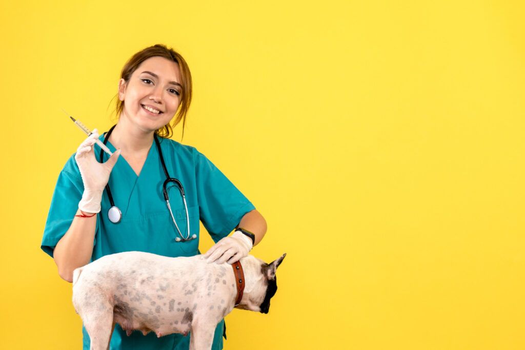 cabinet-veterinar-non-stop-sector-4-7