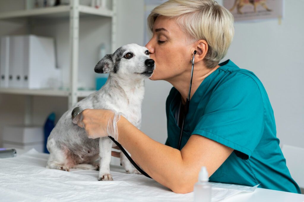 cabinet-veterinar-non-stop-sector-4-8