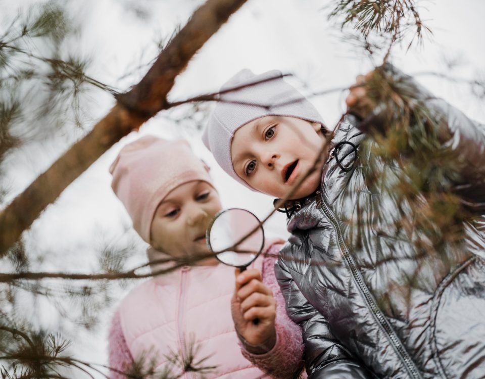 vacanta-copii-februarie-2026